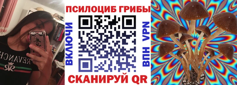 Галлюциногенные грибы Psilocybe  цены   блэк спрут маркетплейс  Карабаш 