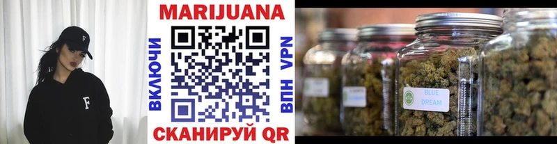 Канабис сатива Карабаш
